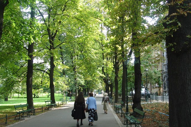 緑の遊歩道
