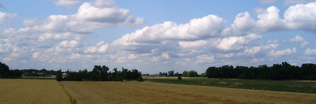 ポーランド西部の田園風景