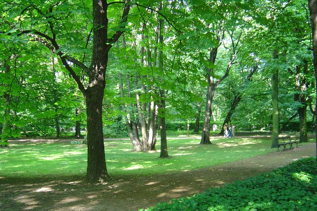 ワジェンキ公園